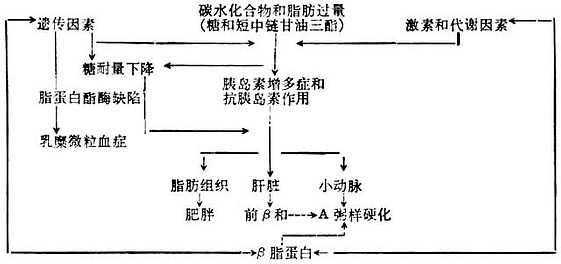 高脂蛋白血症的发生机理