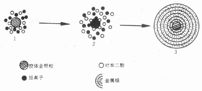 用银增敏示意图