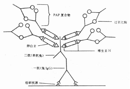 ABC法