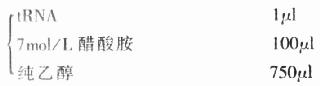 探针沉淀液