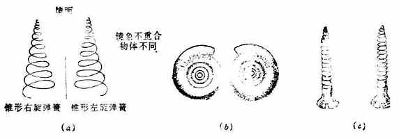 物体与其镜象不能重合(α)右旋弹簧与左旋弹簧;(b)蜗牛壳;(c)左螺纹与右螺纹螺丝钉