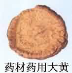 大黄